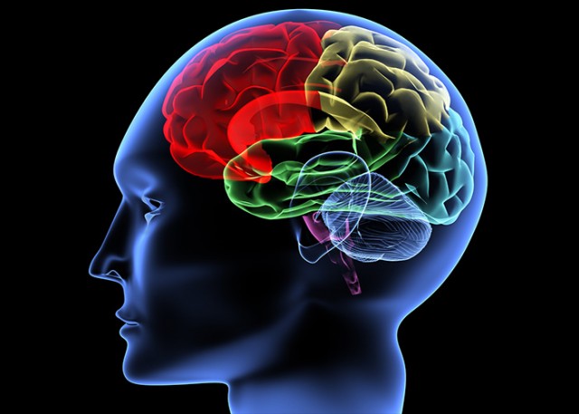 Cognitive Decline