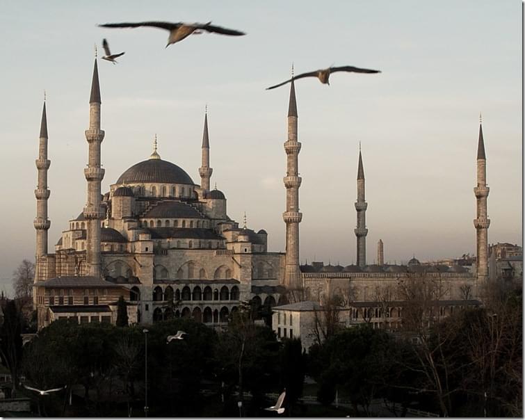 2106543705_2d2a1012e5_b