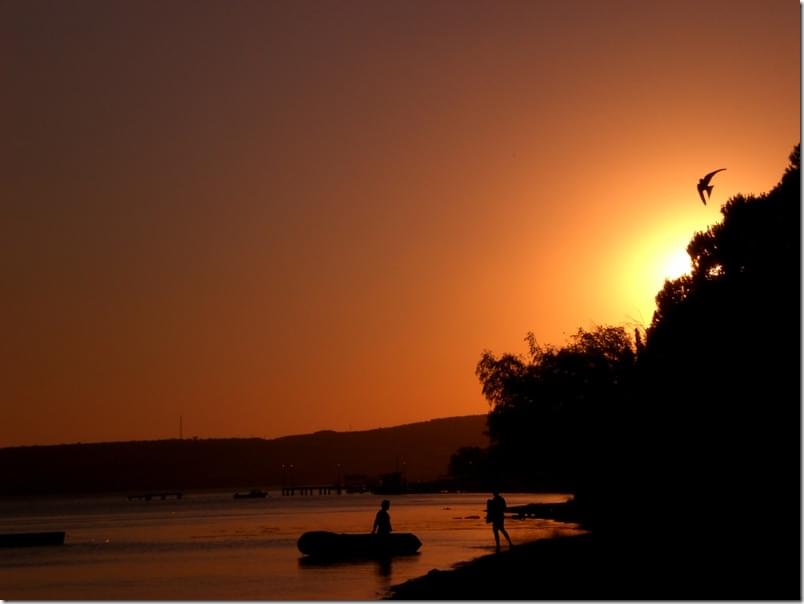 717390958_fa9fa27388_b