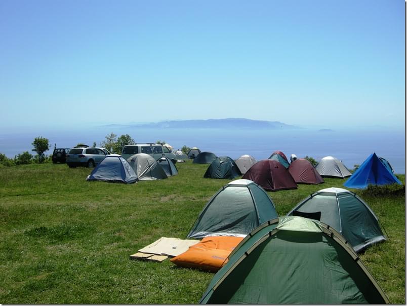 3533454660_891c5de25e_b