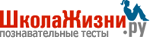 Познавательные тесты