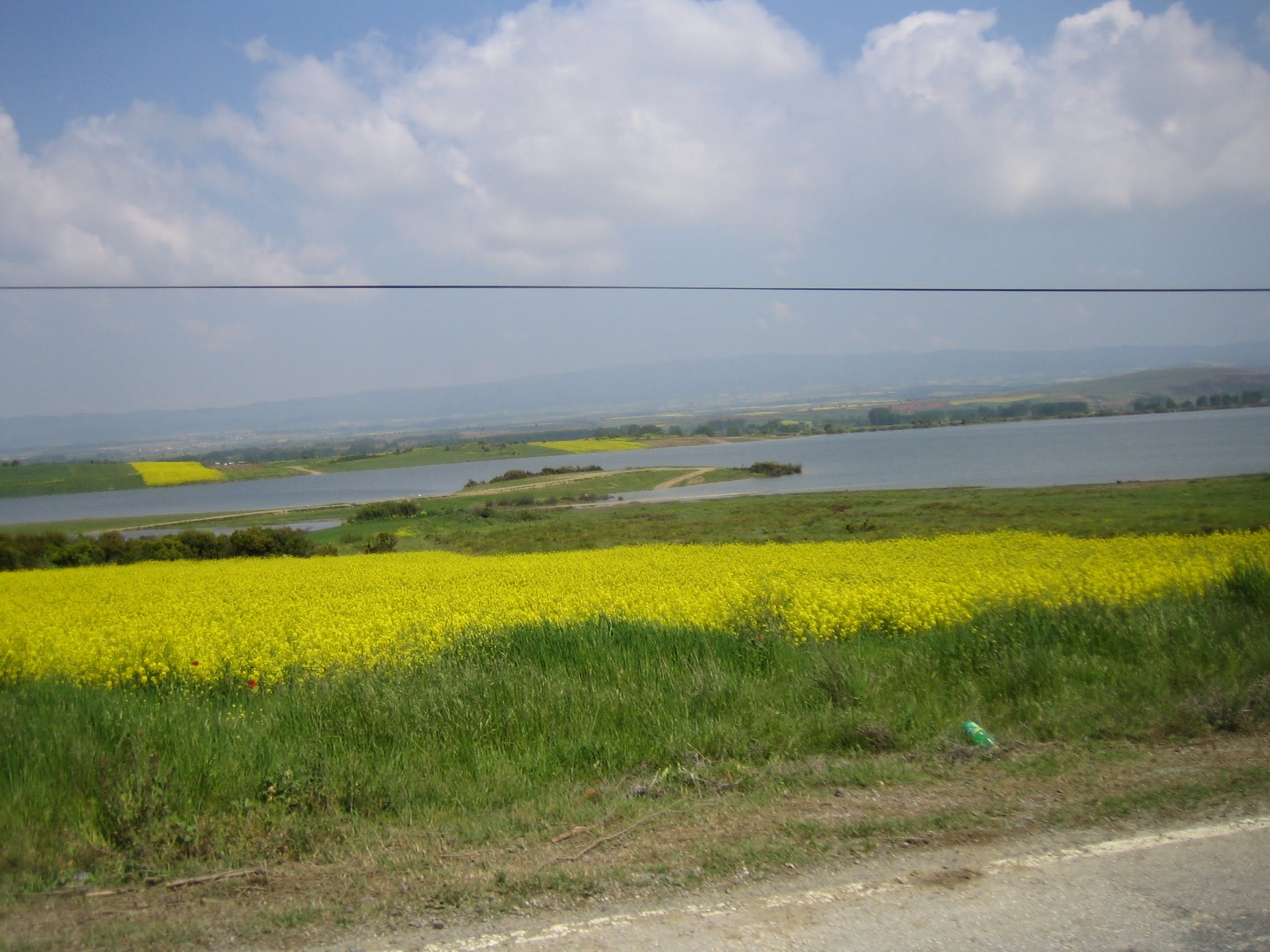 2009-05-03 11-34-44 - 0437