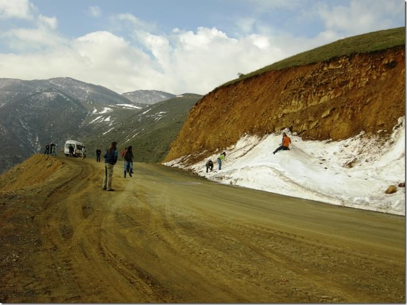 3335297838_d509e7ce1d_o