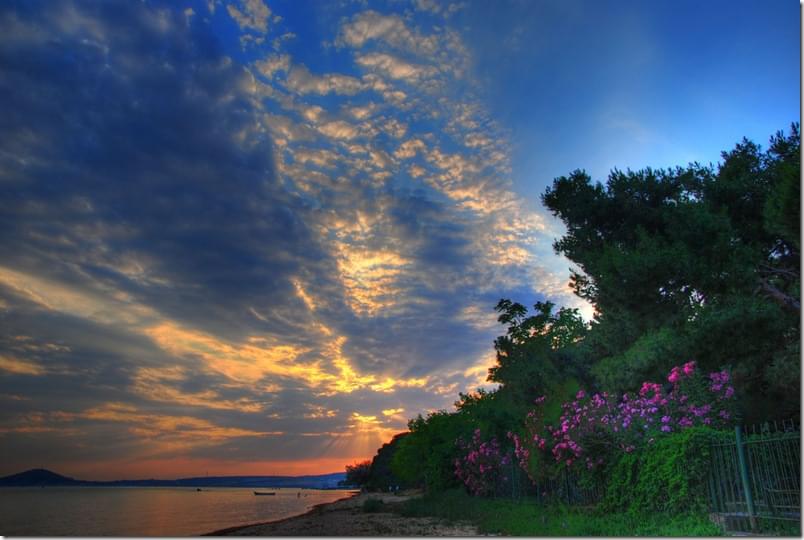 2587276325_c0a3419766_b