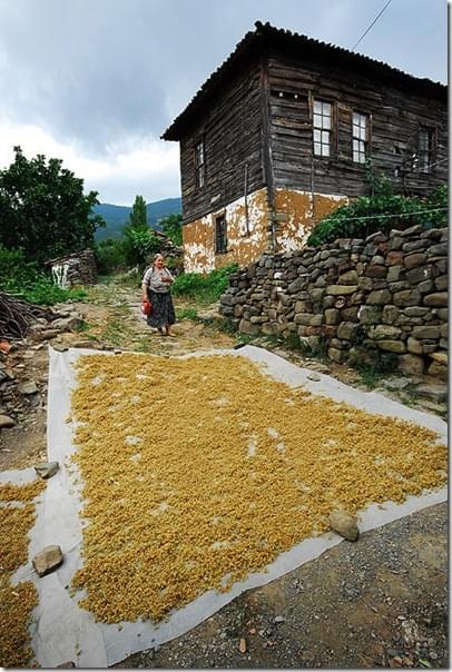 2621993287_237fc5192f_o