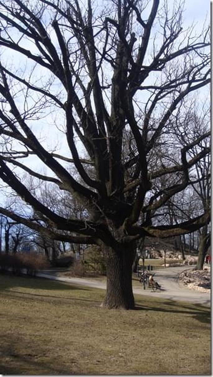 2009-04-04 14-39-13_25