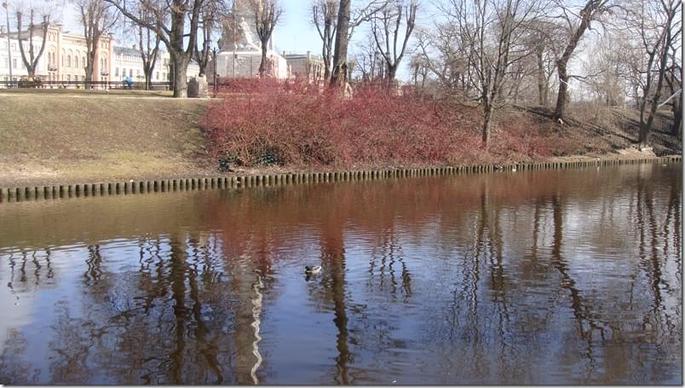 2009-04-04 14-42-04_30