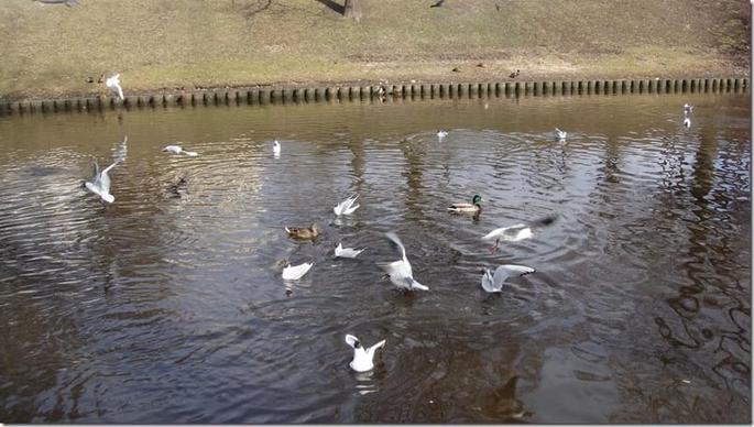 2009-04-04 14-50-11_58