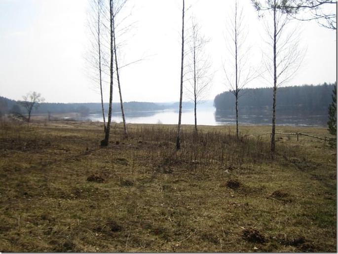 2009-04-11 11-55-47_0071