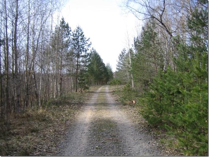 2009-04-19 15-05-53_0016