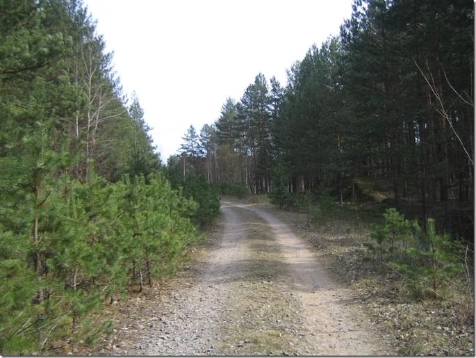 2009-04-19 15-05-56_0017