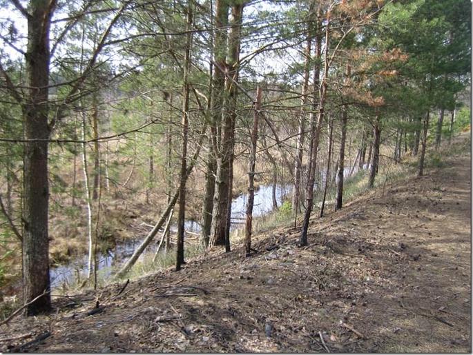 2009-04-19 15-07-10_0018