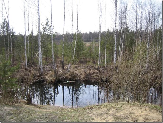 2009-04-19 15-08-36_0022