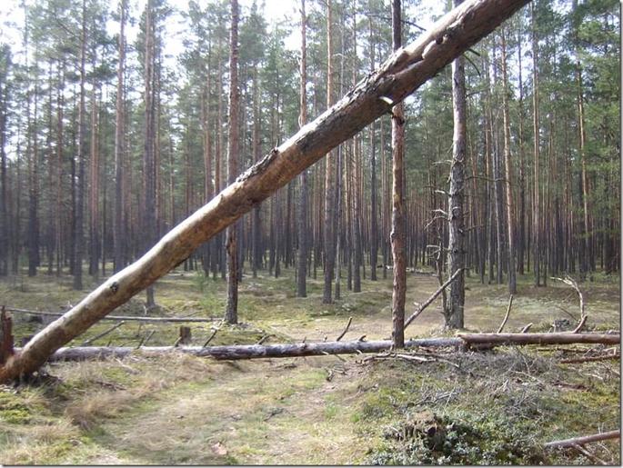 2009-04-19 15-56-52_0027