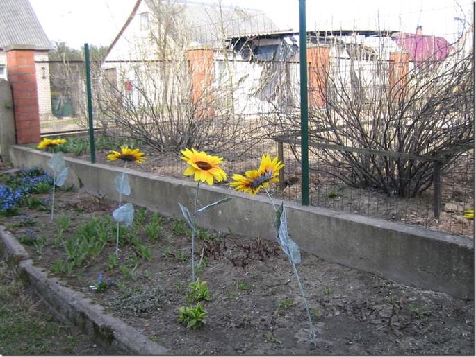 2009-04-19 16-42-49_0032