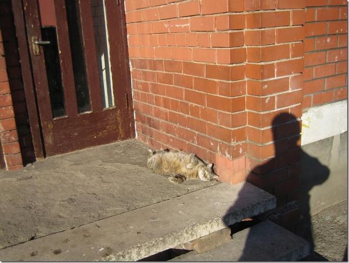 2009-04-19 18-06-10_0037