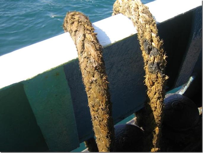 2009-05-02 15-40-18 - 0345