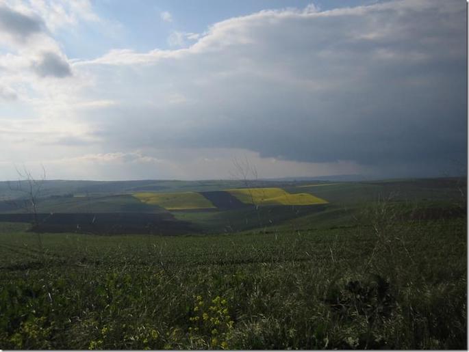 2009-05-02 17-39-56 - 0368