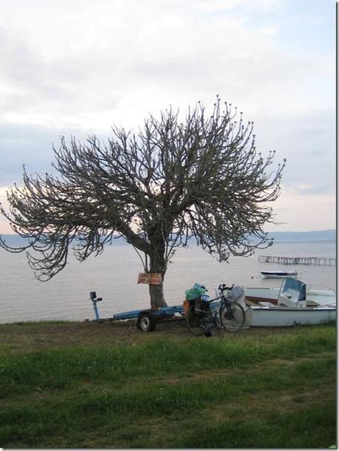 2009-05-02 19-34-50 - 0404