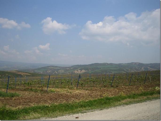 2009-05-03 12-04-11 - 0457