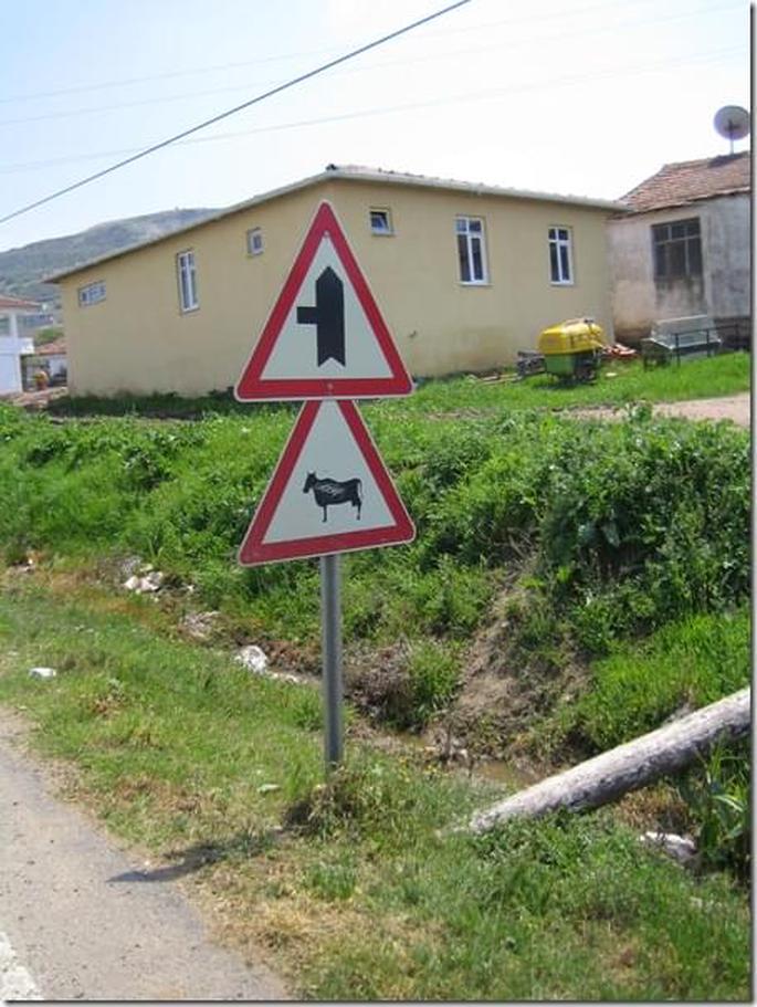 2009-05-03 12-31-46 - 0460