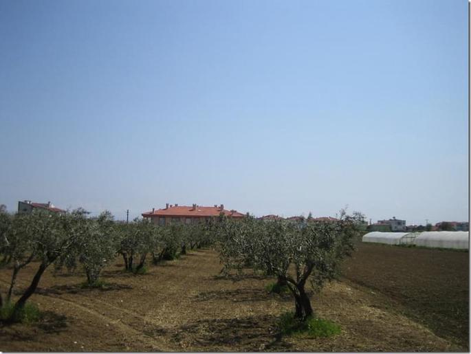 2009-05-03 14-34-10 - 0497