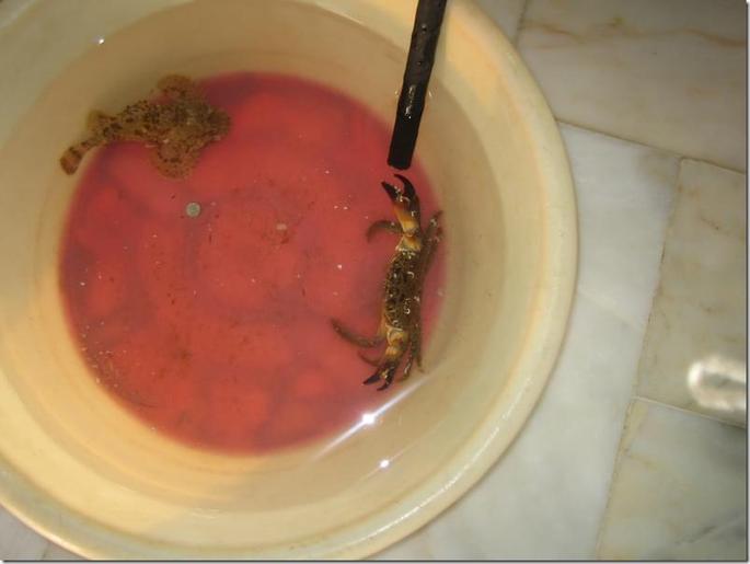 2009-05-04 19-37-55 - 0693