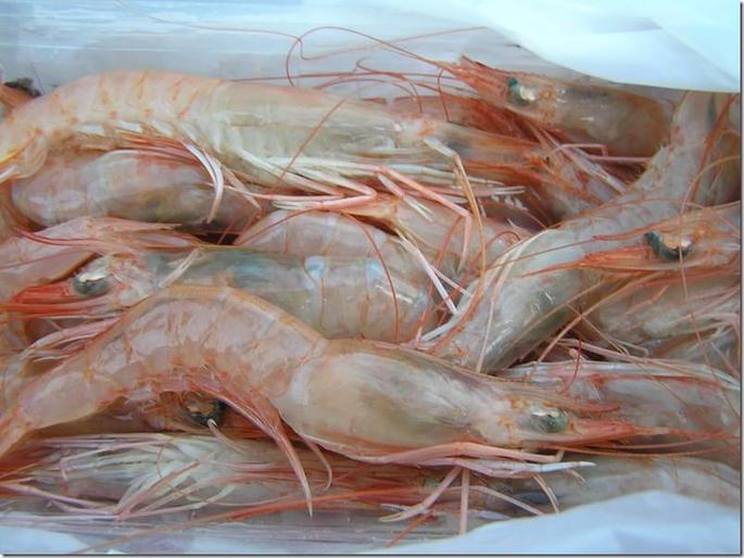 2009-05-04 19-40-56 0117