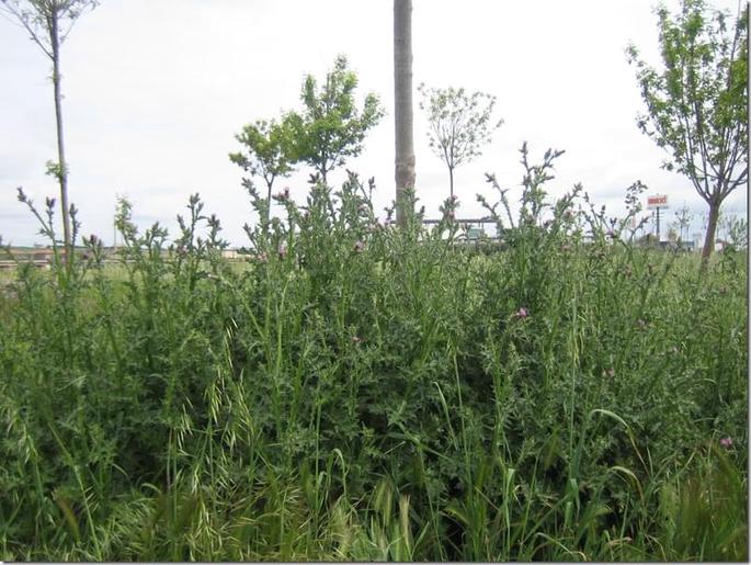 2009-05-05 12-02-48 - 0708