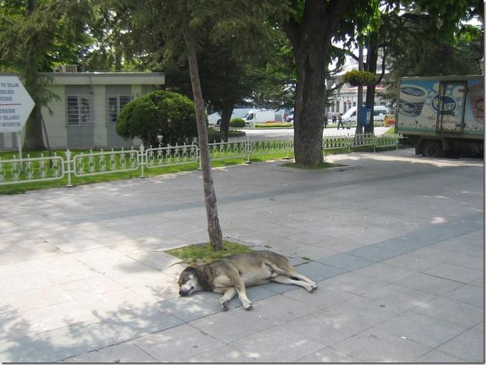 2009-05-06 11-07-45 - 0769