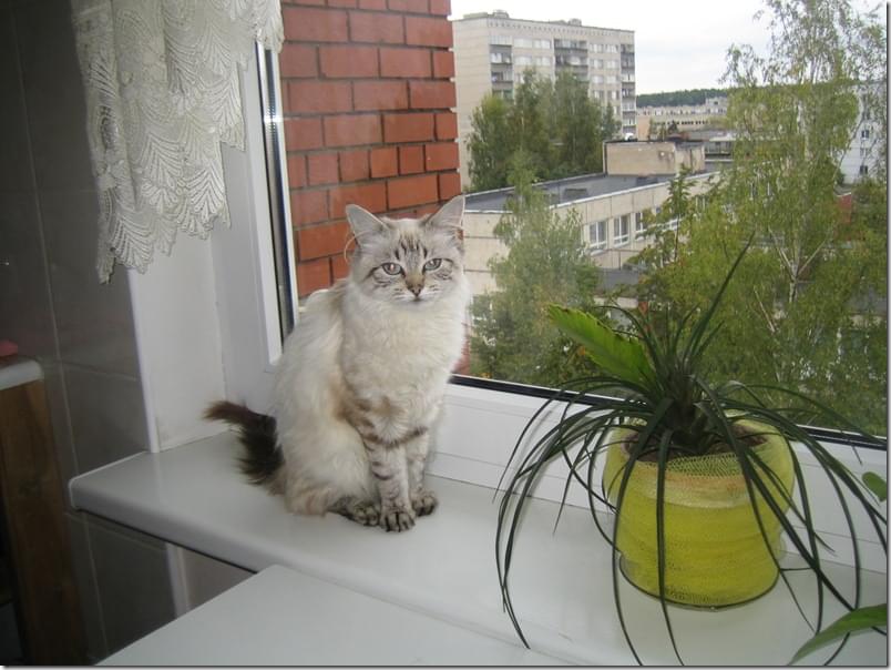 2009-09-27 14-56-19_0009