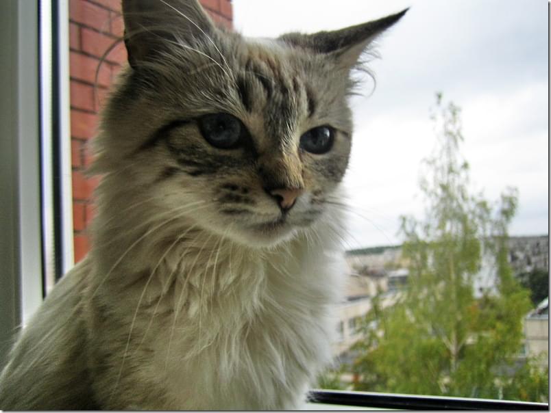 2009-09-27 14-58-45_0013