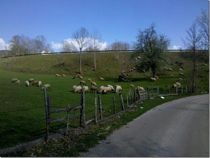 2012-04-29_16-45-06_131