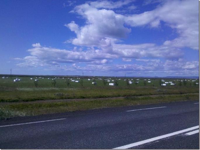 2012-07-27_13-33-27_710