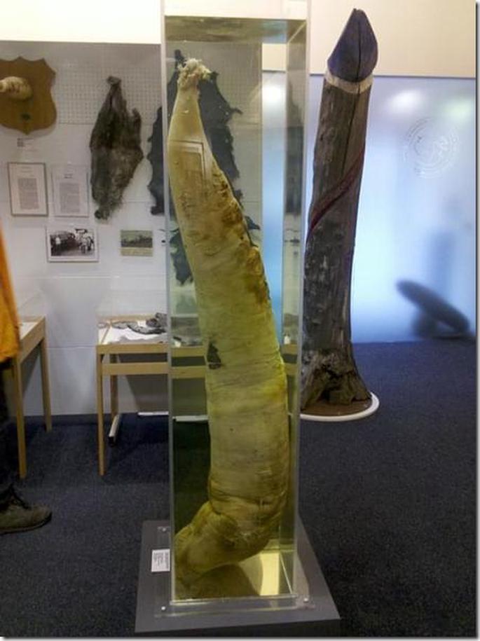 2012-07-30_17-06-31_374