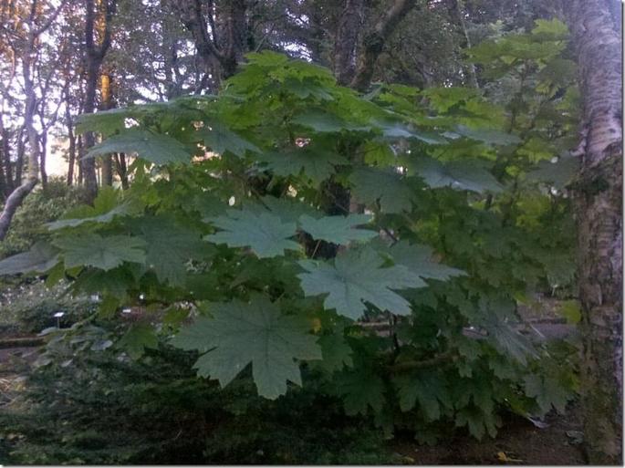 2012-07-30_22-10-39_159