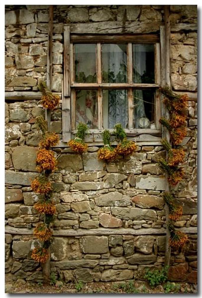 2630834998_9727eeda18_o