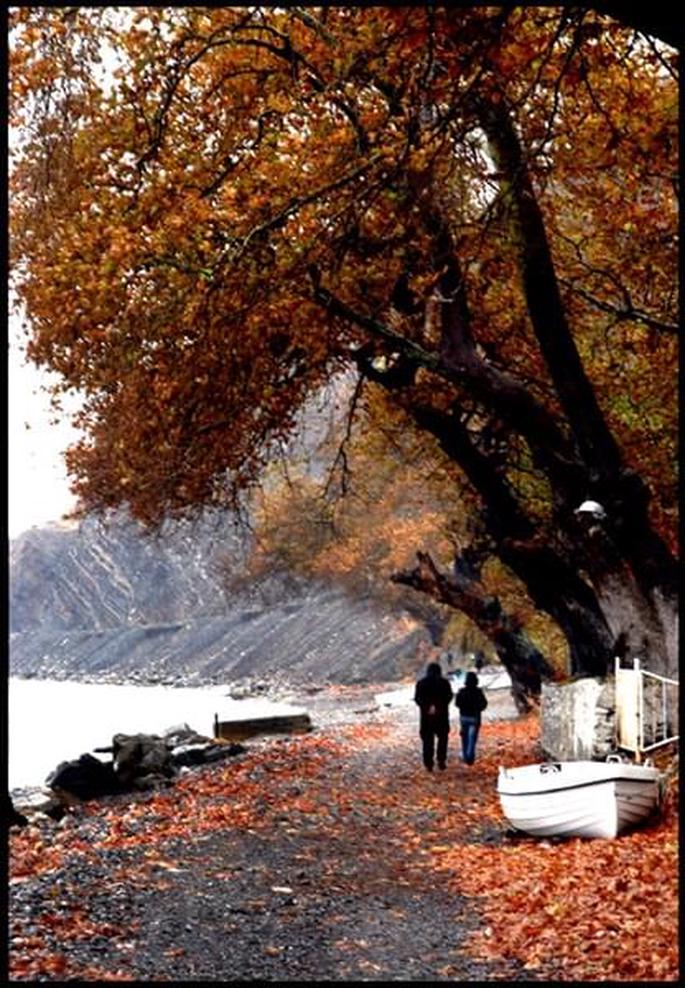 2986491660_4a39452553_o