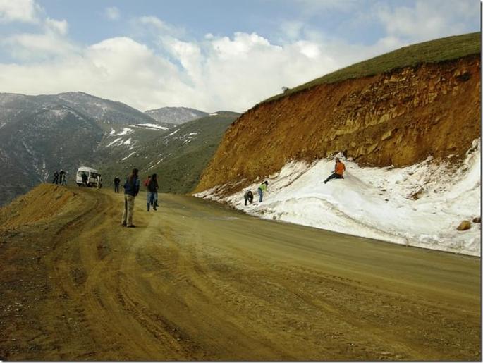 3335297838_d509e7ce1d_o