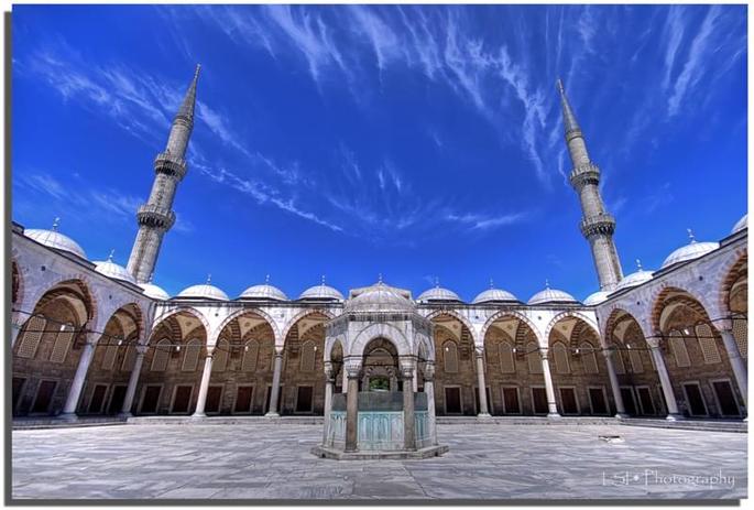 3639625200_c4893cb2ba_b