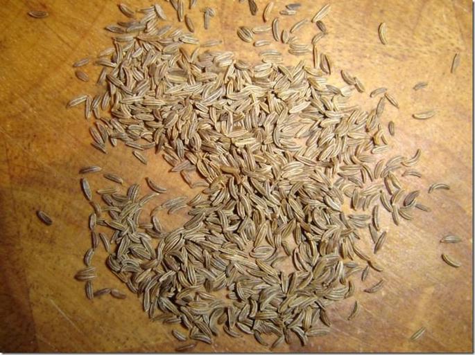 Carawayseeds