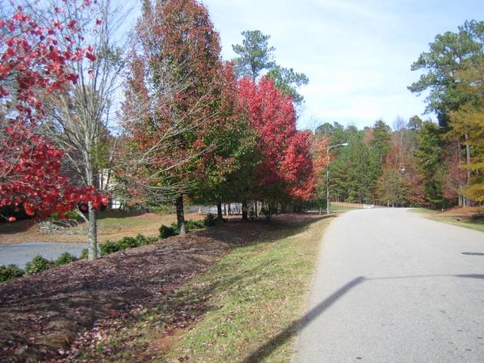 IMG_0067.ncarolina