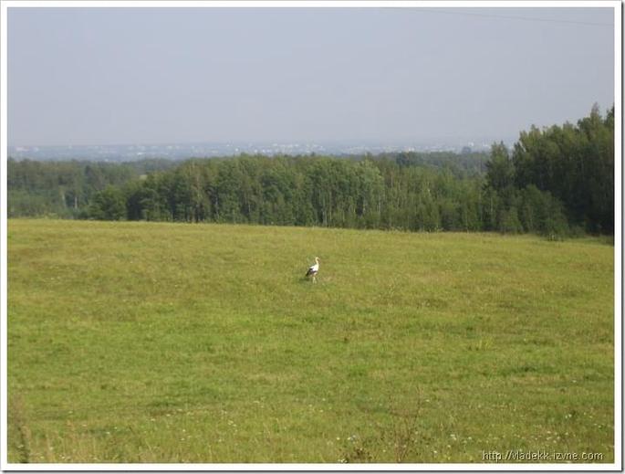 IMG_0028 IMG_0028