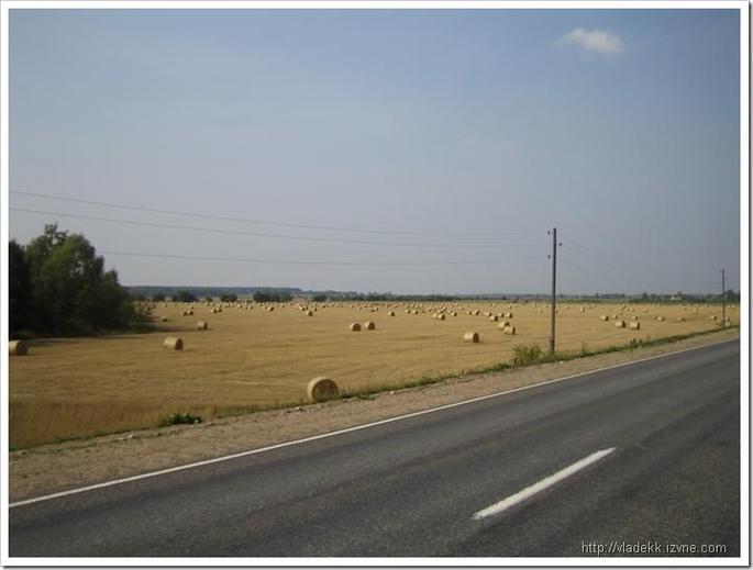 IMG_0035 IMG_0035